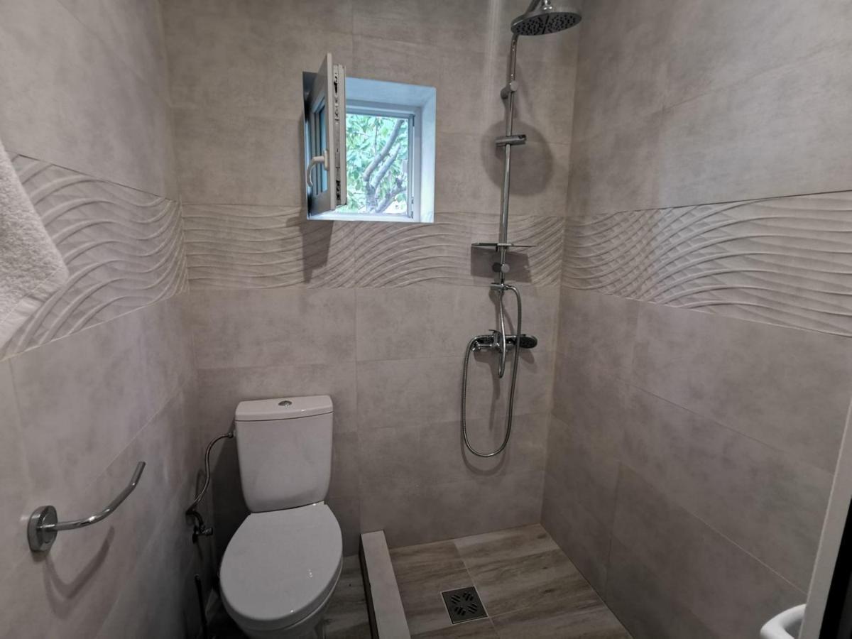 ホテル Zapp House コスティネシュティ エクステリア 写真